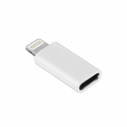 ADAPTER TYPE C TO LIGHTNING silver